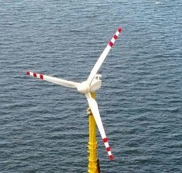 “Mewlen: la boya  que genera energía Eólica nacida en Valdivia y que impulsa la nueva frontera Energética del Sur de Chile”